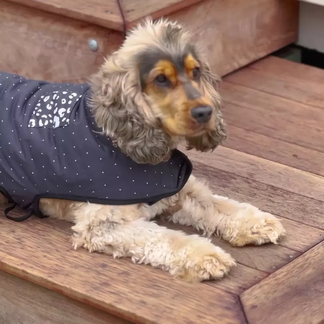 Night Vision Reversible Soft Dog Jacket