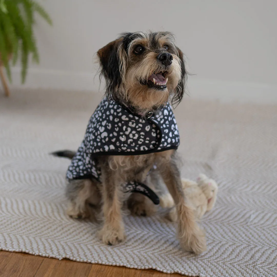 Night Vision Reversible Soft Dog Jacket