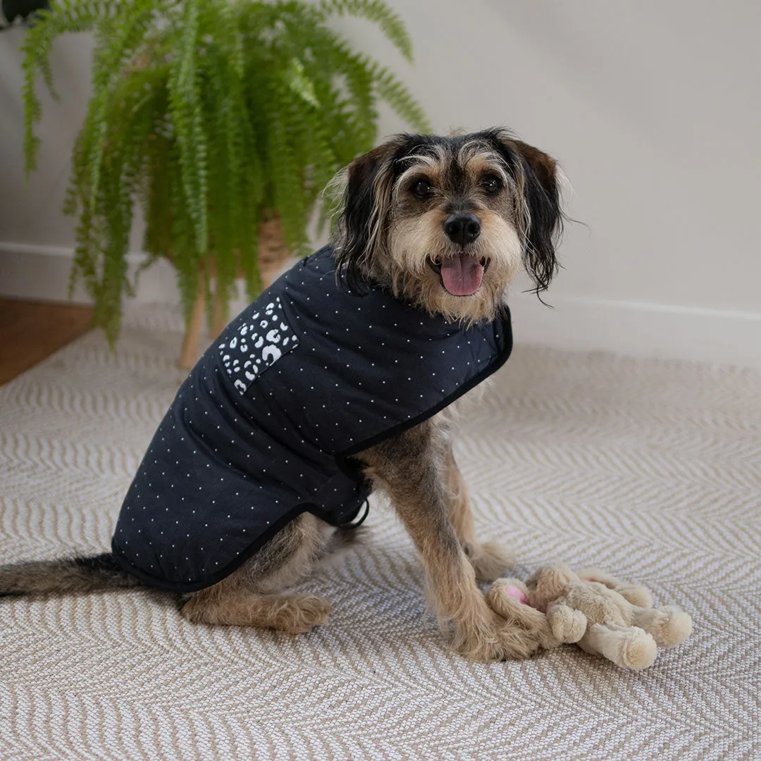 Night Vision Reversible Soft Dog Jacket