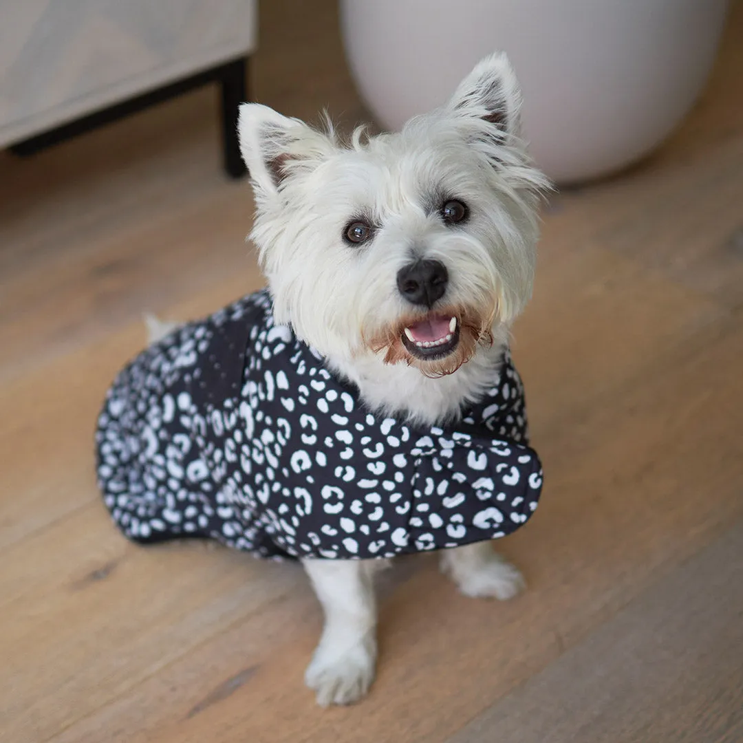 Night Vision Reversible Soft Dog Jacket