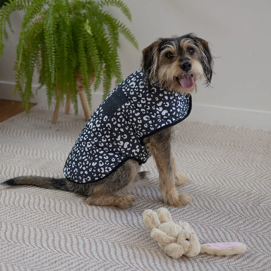 Night Vision Reversible Soft Dog Jacket