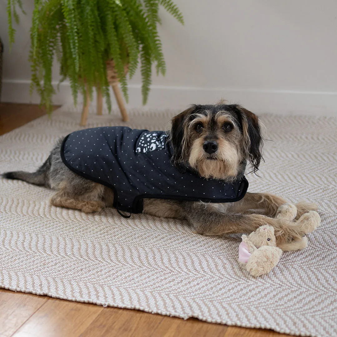 Night Vision Reversible Soft Dog Jacket