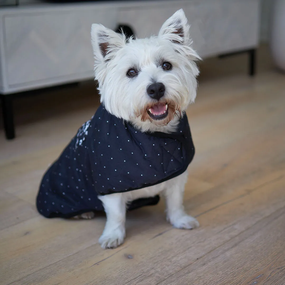 Night Vision Reversible Soft Dog Jacket