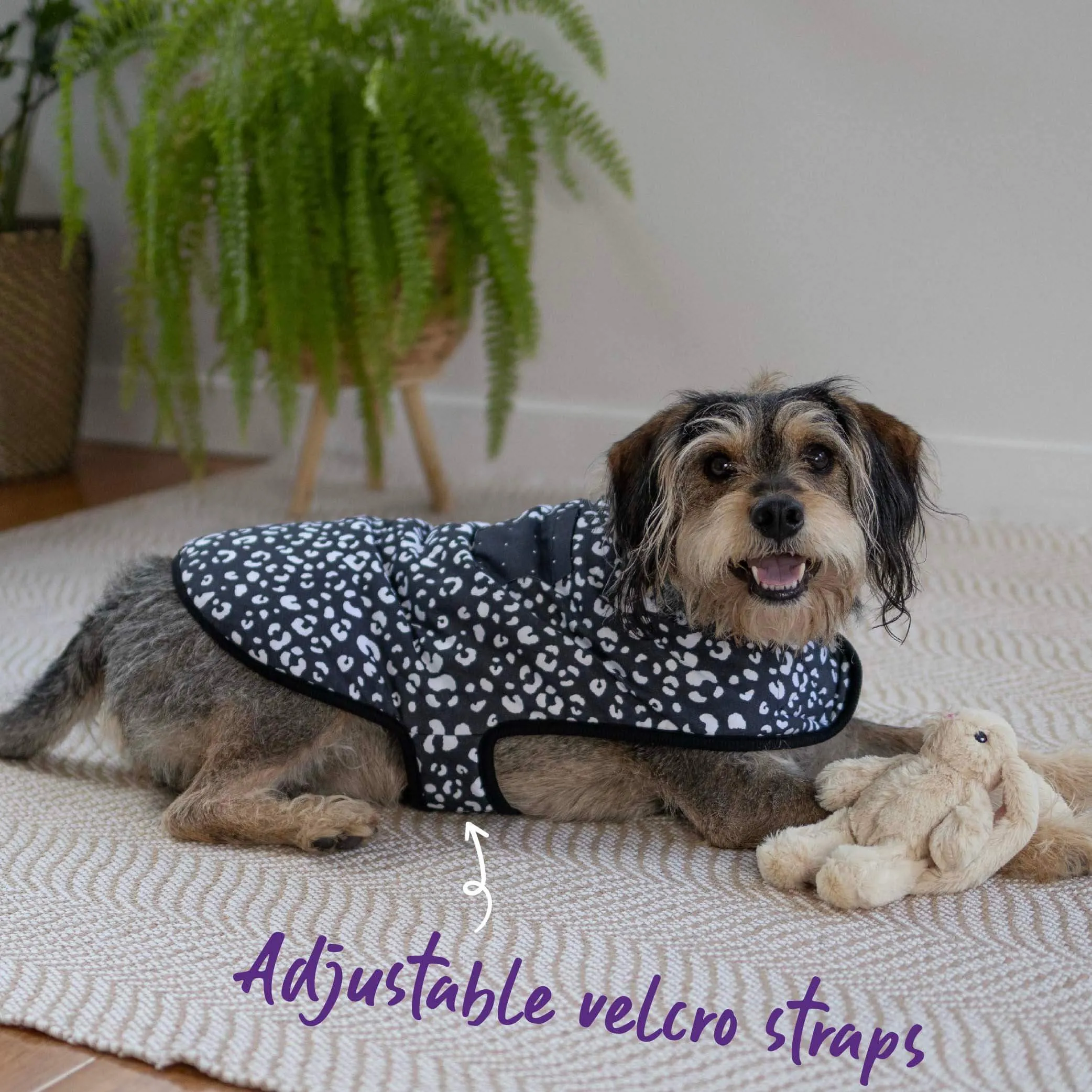 Night Vision Reversible Soft Dog Jacket