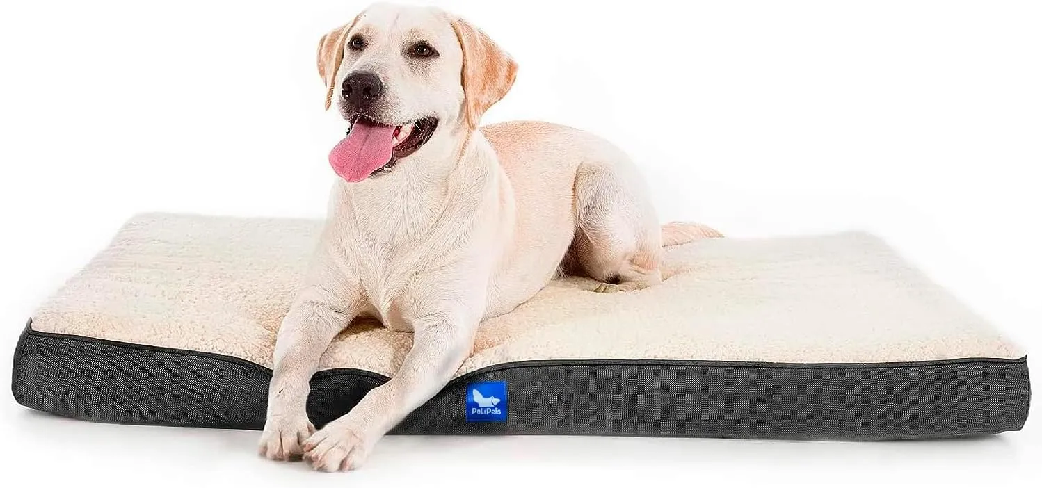 Orthopedic Dog Bed, Memory Foam Revisable Two Side with Washable Removable Cover, Extra Large, 41x32