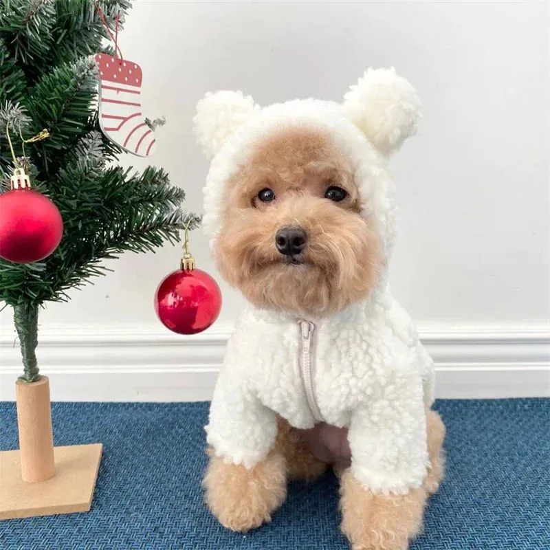 Pat and Pet Emporium | Pet Costumes | Fleece Bear Costume