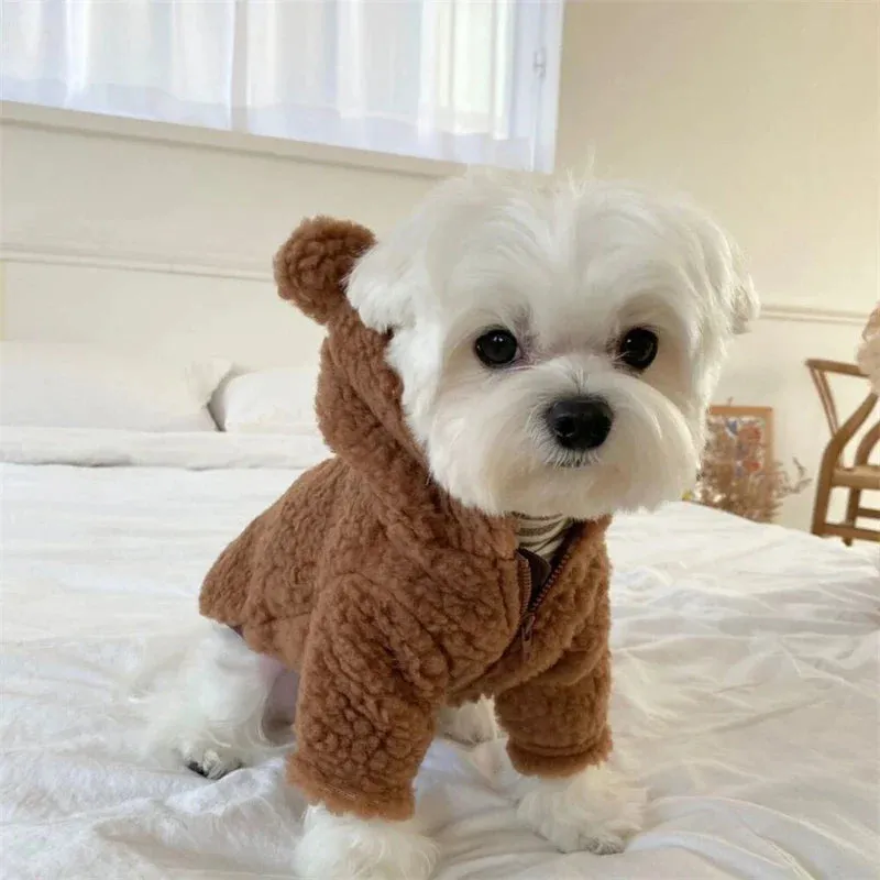 Pat and Pet Emporium | Pet Costumes | Fleece Bear Costume
