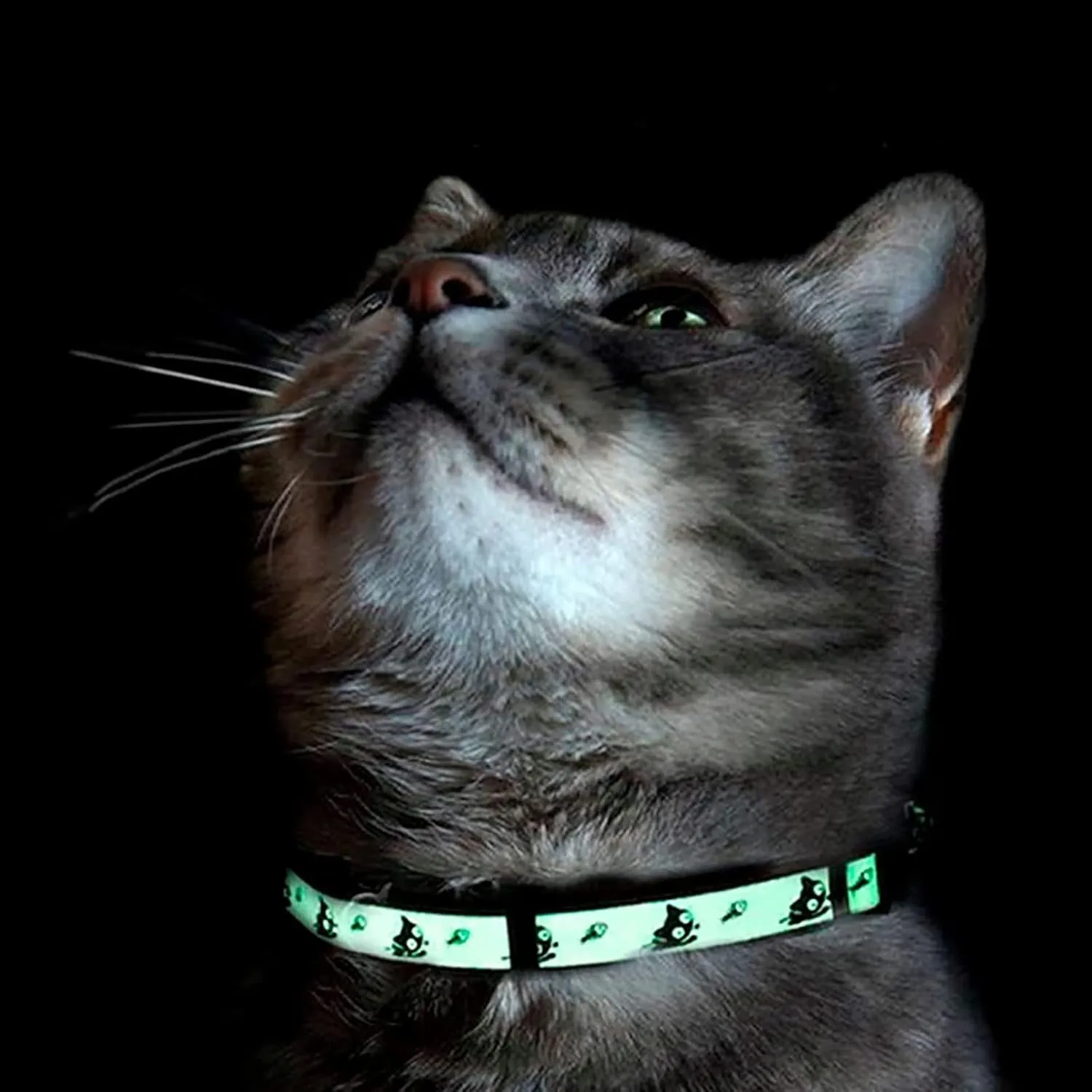 Pawtitas Halloween Cat Collars for Cats Adjustable Collar Glow in The Dark Feature and Safety Breakaway Buckle and Removable Bell to Match Your Halloween Cat's Costume - Black Cat Pattern