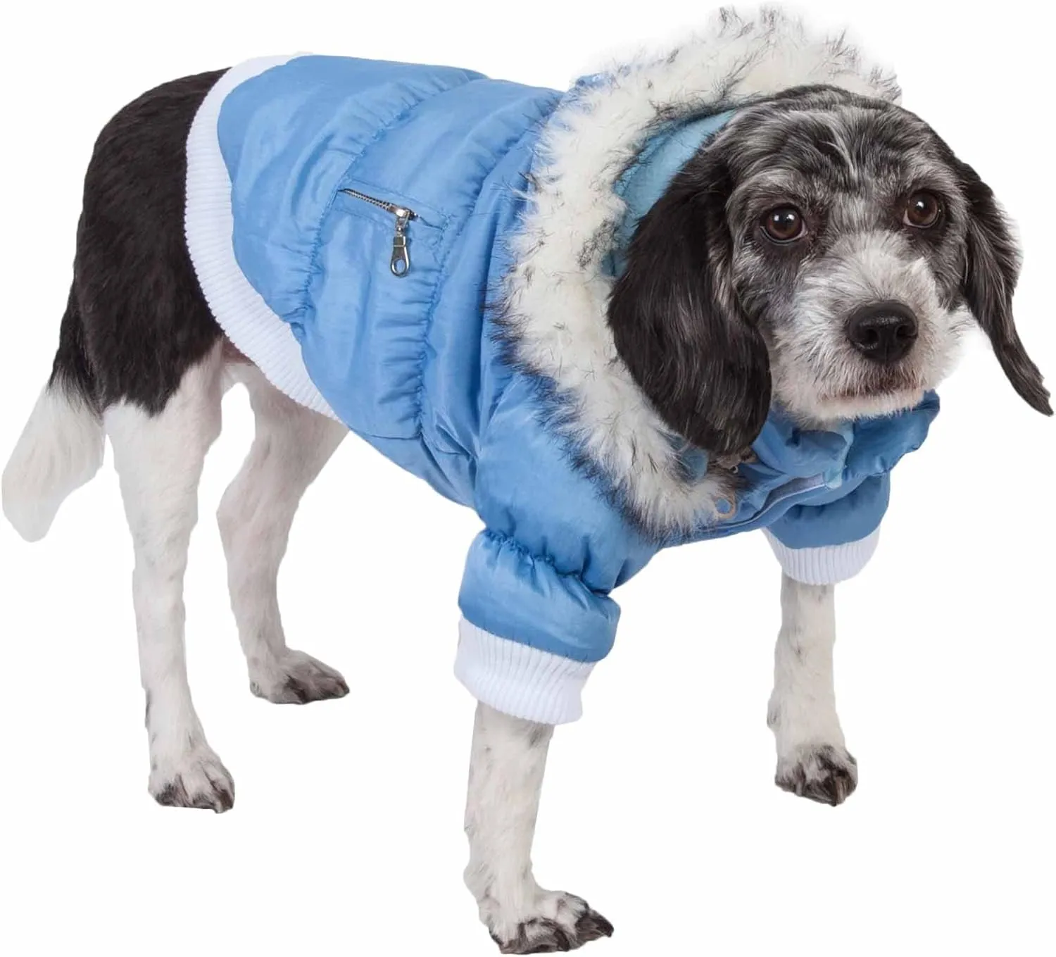PET LIFE Classic Metallic Fashion Pet Dog Coat Jacket Parka w/ 3M Insulation and Removable Hood, X-Small, Sky Blue