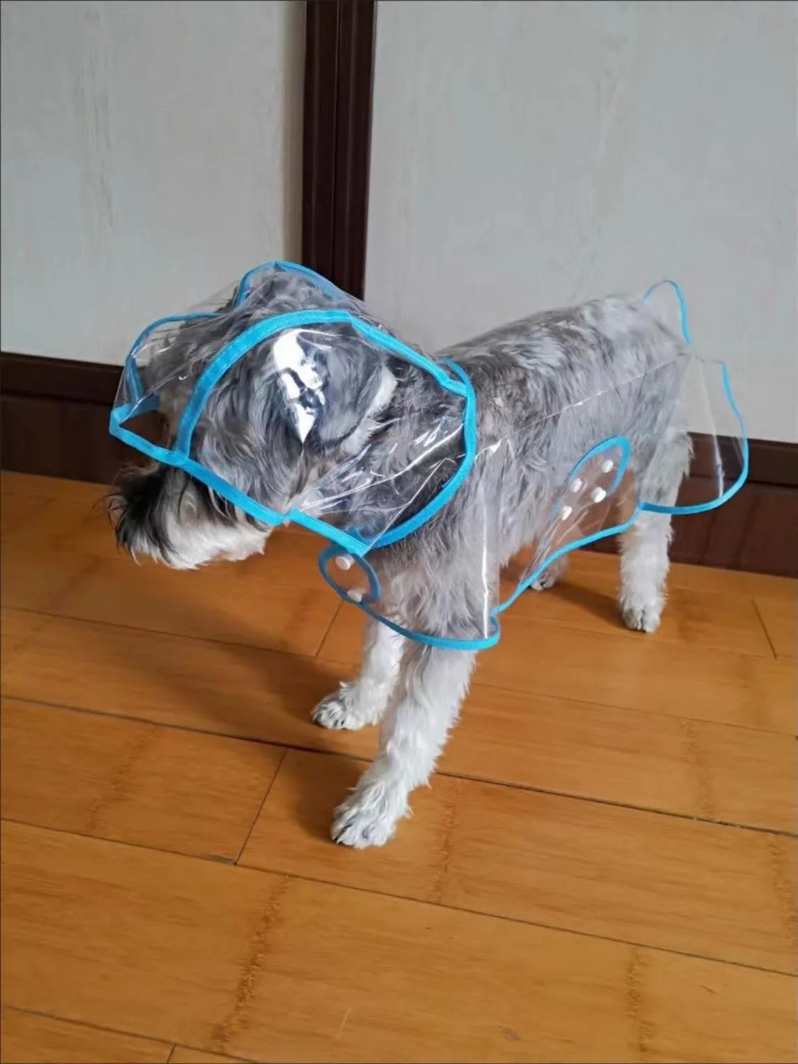 Pet Raincoat,Small Dog Waterproof Puppy Raincoat Coat Transparent Pet Dog Rainwear Clothes for Small Dogs Cats (L, Blue)