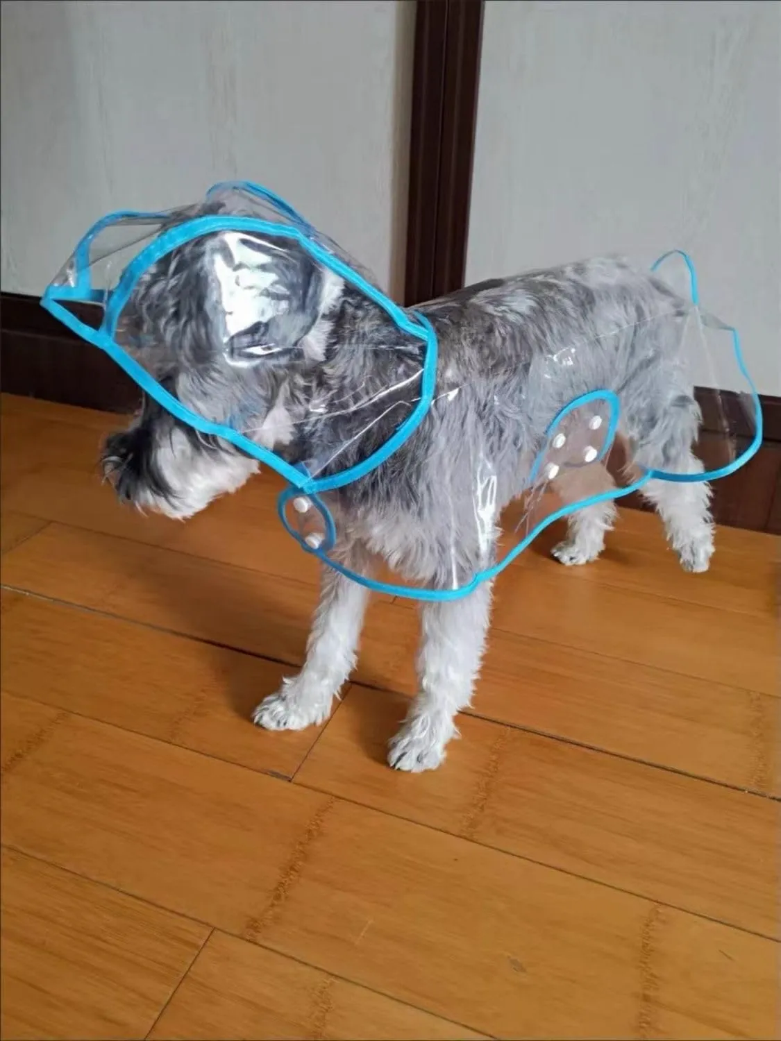 Pet Raincoat,Small Dog Waterproof Puppy Raincoat Coat Transparent Pet Dog Rainwear Clothes for Small Dogs Cats (L, Blue)