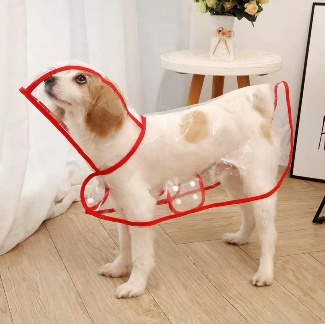 Pet Raincoat,Small Dog Waterproof Puppy Raincoat Coat Transparent Pet Dog Rainwear Clothes for Small Dogs Cats (L,Red)