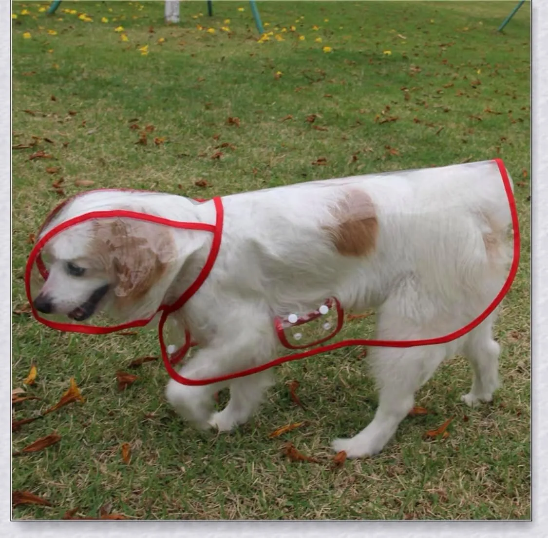 Pet Raincoat,Small Dog Waterproof Puppy Raincoat Coat Transparent Pet Dog Rainwear Clothes for Small Dogs Cats (L,Red)