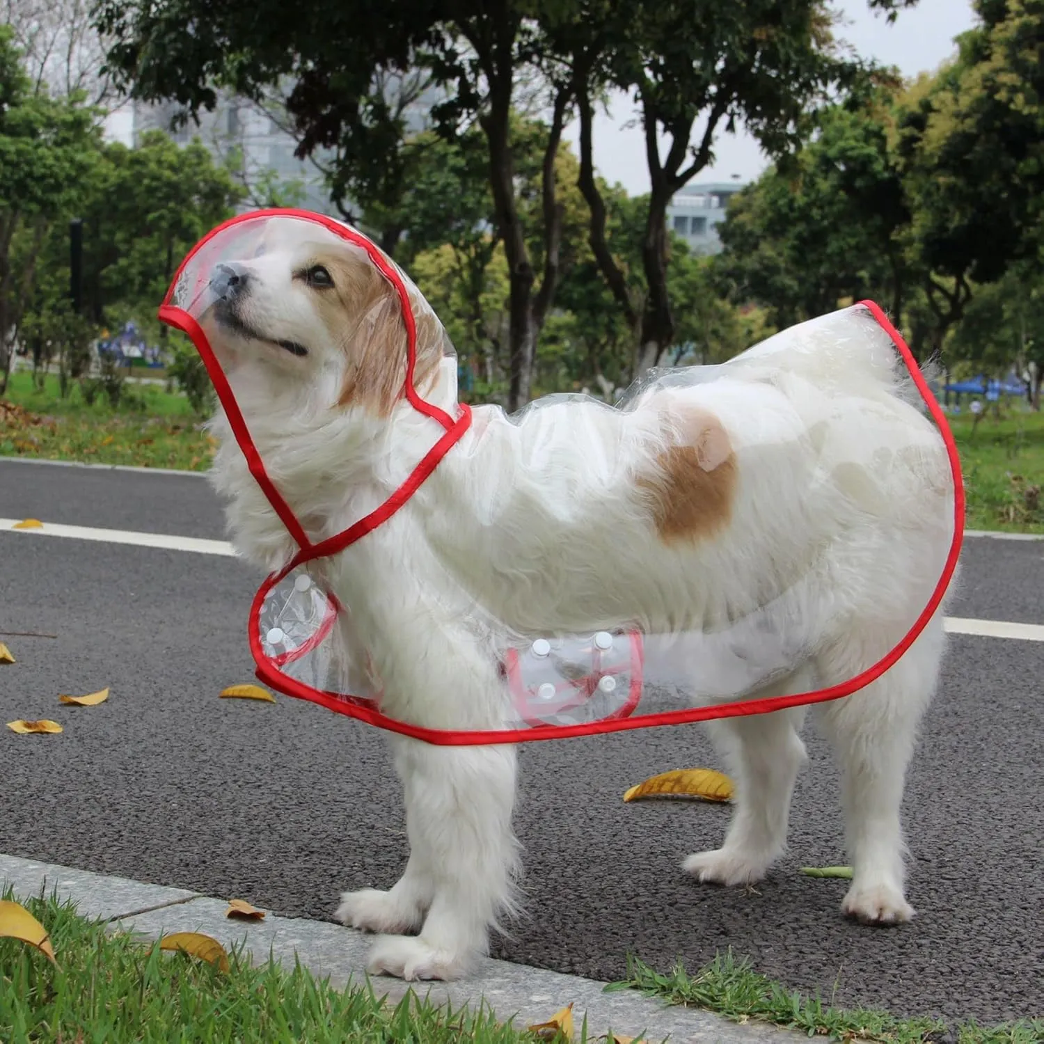 Pet Raincoat,Small Dog Waterproof Puppy Raincoat Coat Transparent Pet Dog Rainwear Clothes for Small Dogs Cats (L,Red)