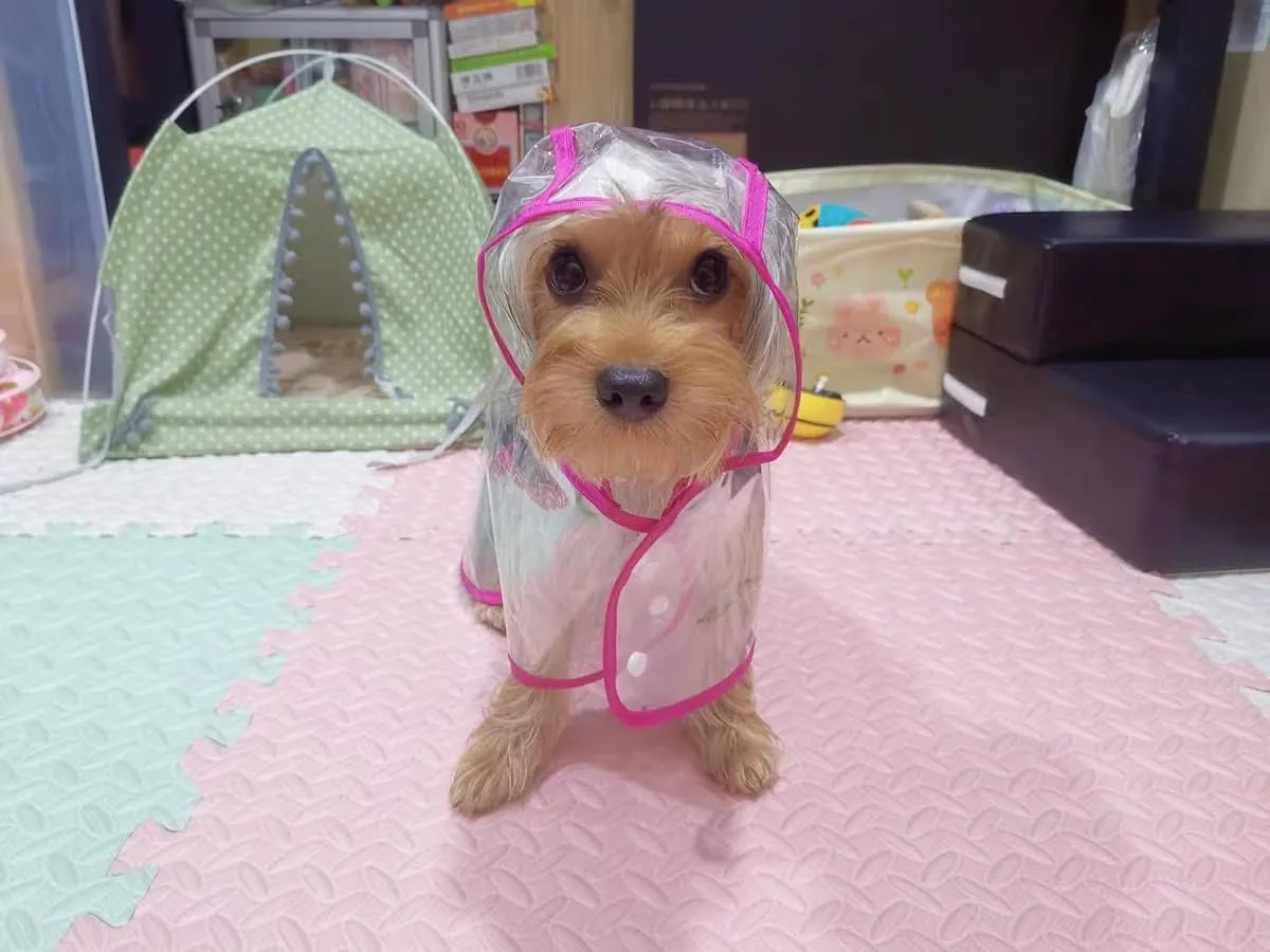 Pet Raincoat,Small Dog Waterproof Puppy Raincoat Coat Transparent Pet Dog Rainwear Clothes for Small Dogs Cats (S, Pink)
