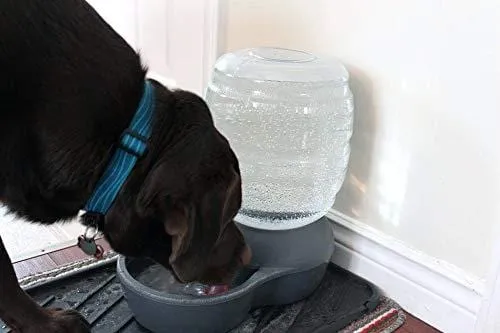 Petmate Replendish Gravity Waterer with Microban Cat and Dog Water Dispenser 4 Sizes