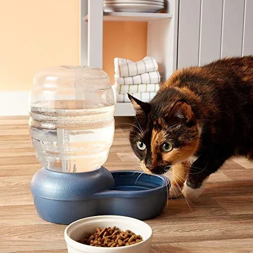 Petmate Replendish Gravity Waterer with Microban Cat and Dog Water Dispenser 4 Sizes