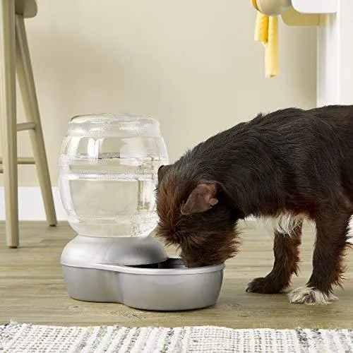 Petmate Replendish Gravity Waterer with Microban Cat and Dog Water Dispenser 4 Sizes