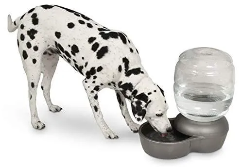 Petmate Replendish Gravity Waterer with Microban Cat and Dog Water Dispenser 4 Sizes