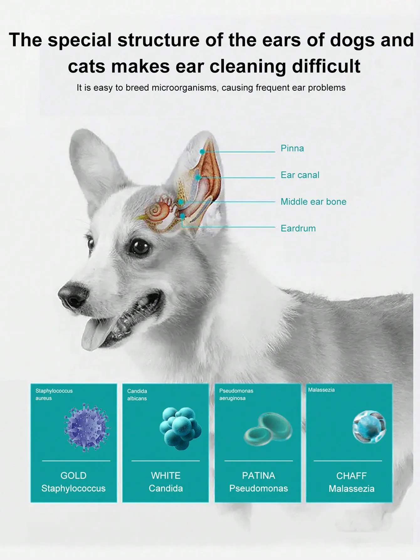 PETSIN 1pc Pet Ear Cleanser Spray