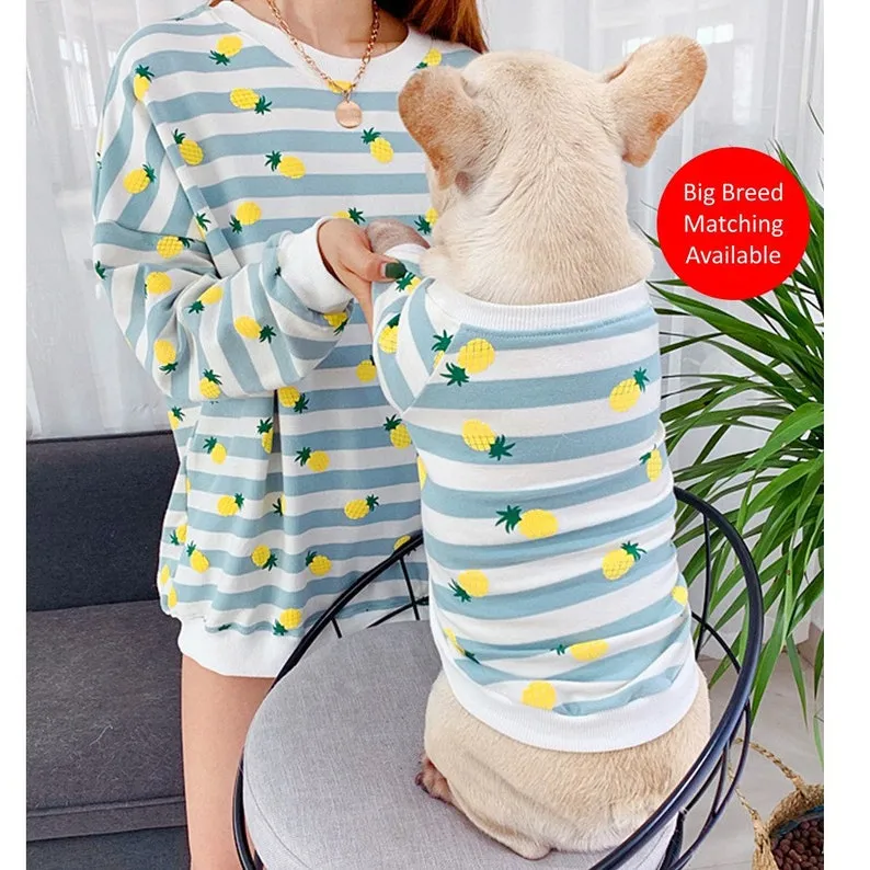 Piña Ananas Pineapple Owner and Pet Family Matching Set