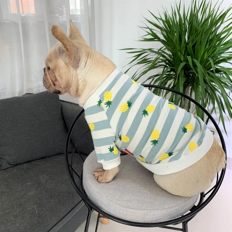 Piña Ananas Pineapple Owner and Pet Family Matching Set