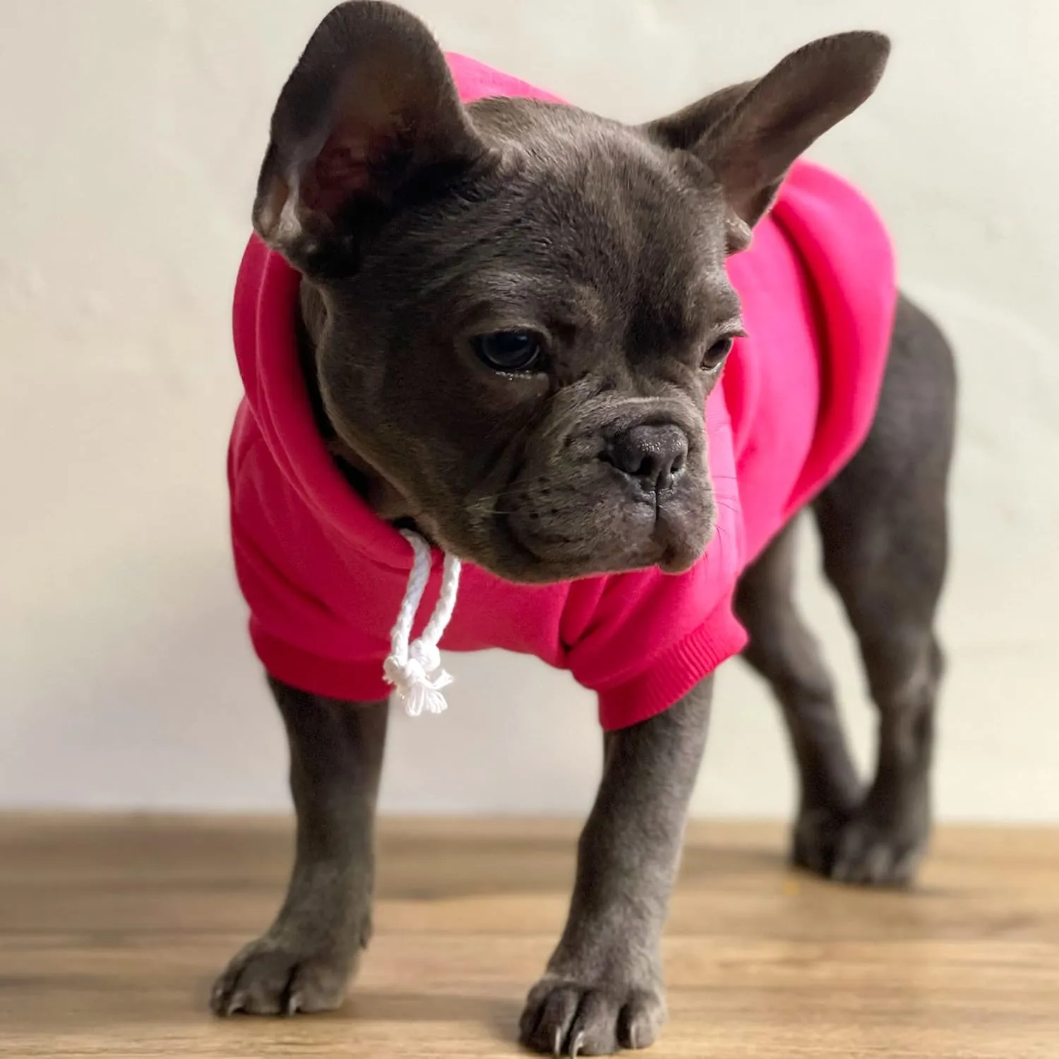 Put Me in Coach Football Dog Hoodie Fleece Lined Pullover Sweatshirt with Leash Hole (Black, 2X-Large 417)