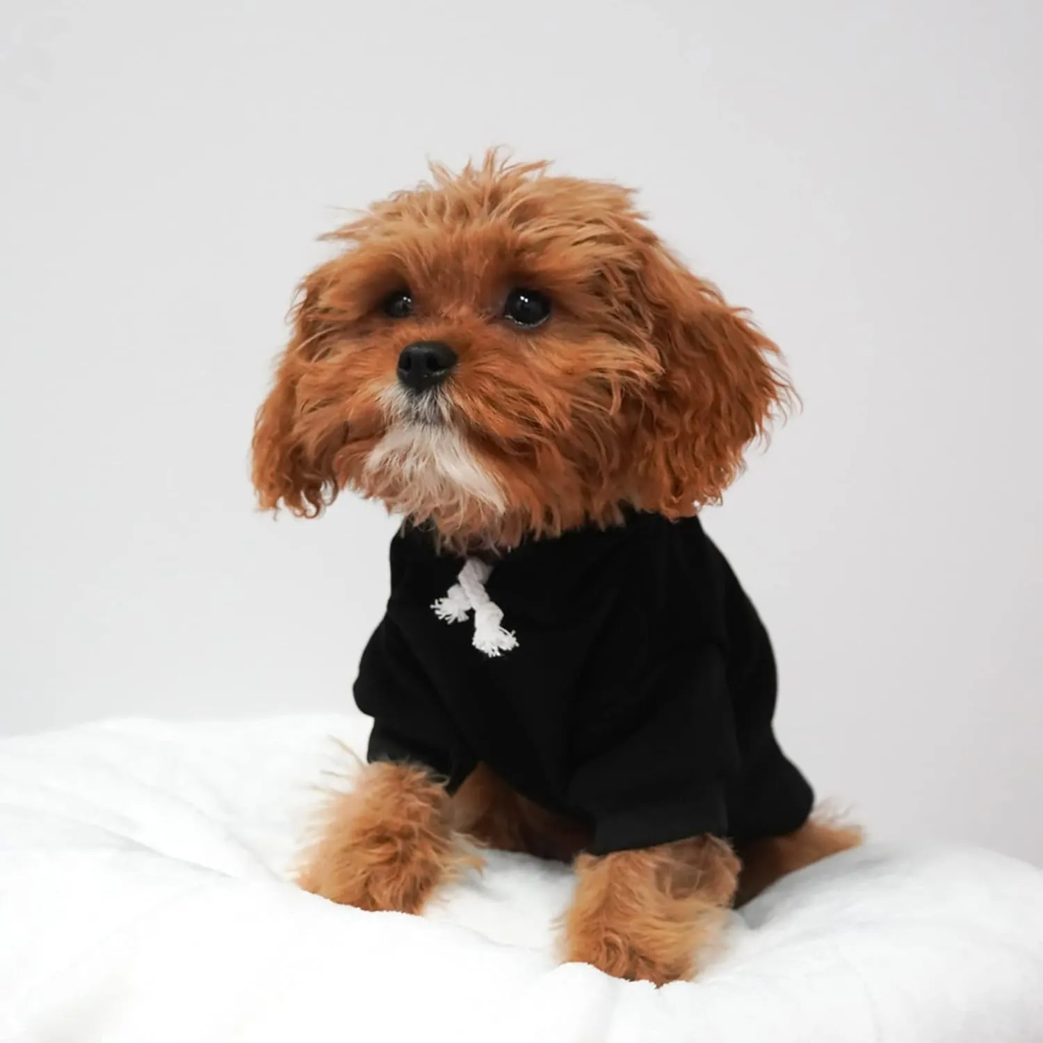 Put Me in Coach Football Dog Hoodie Fleece Lined Pullover Sweatshirt with Leash Hole (Black, 2X-Large 417)