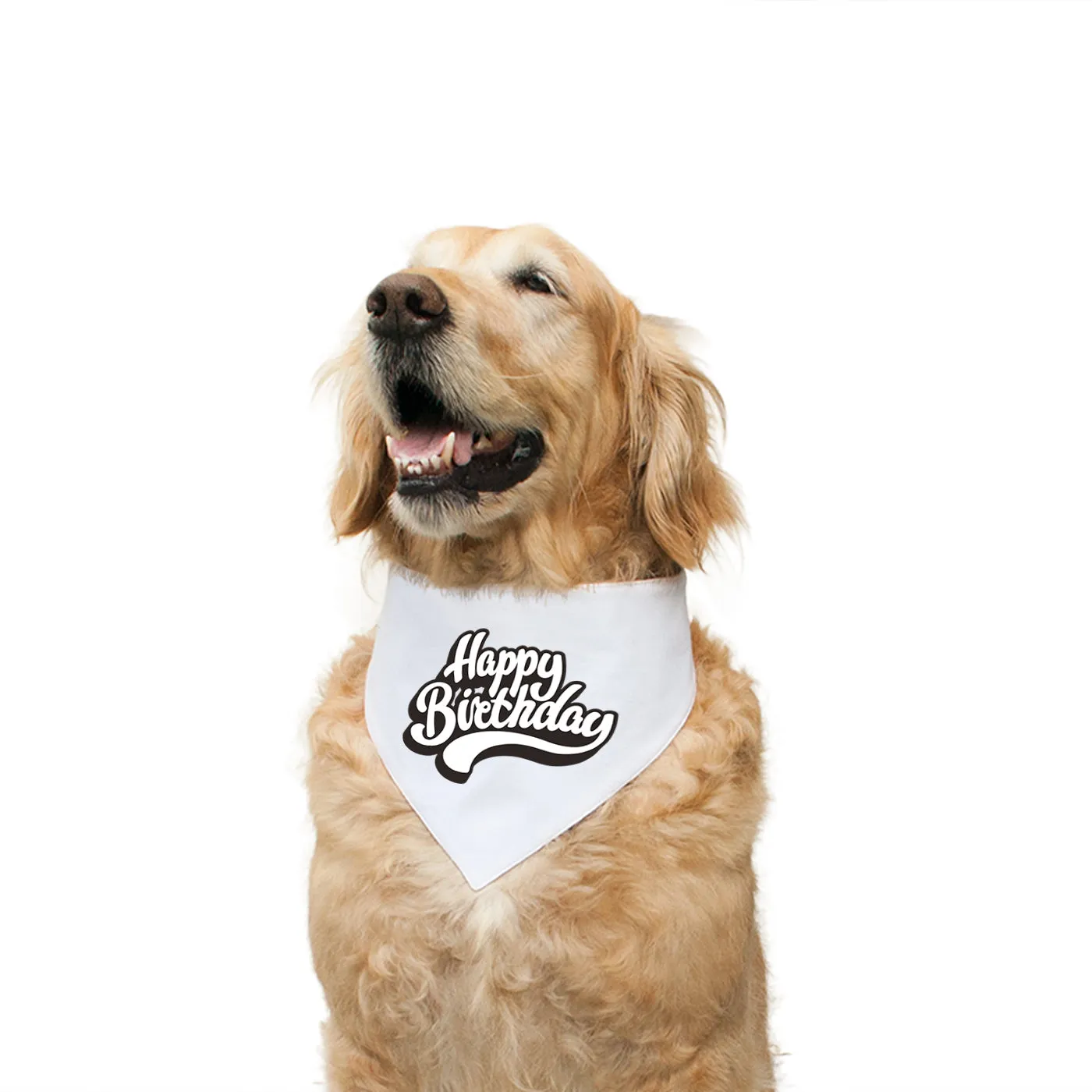 "Happy Birthday" Printed Reversible Bandana for Dogs