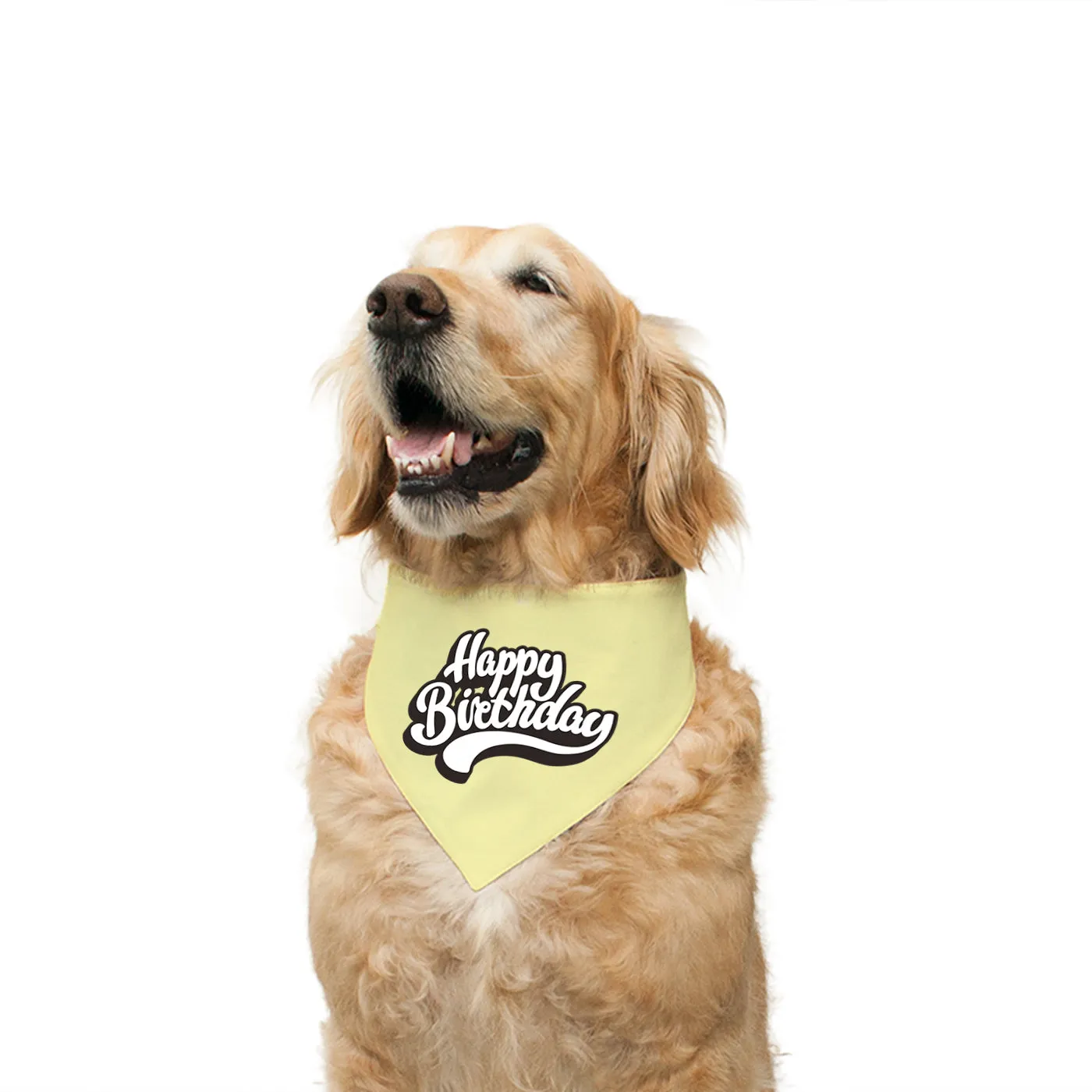 "Happy Birthday" Printed Reversible Bandana for Dogs