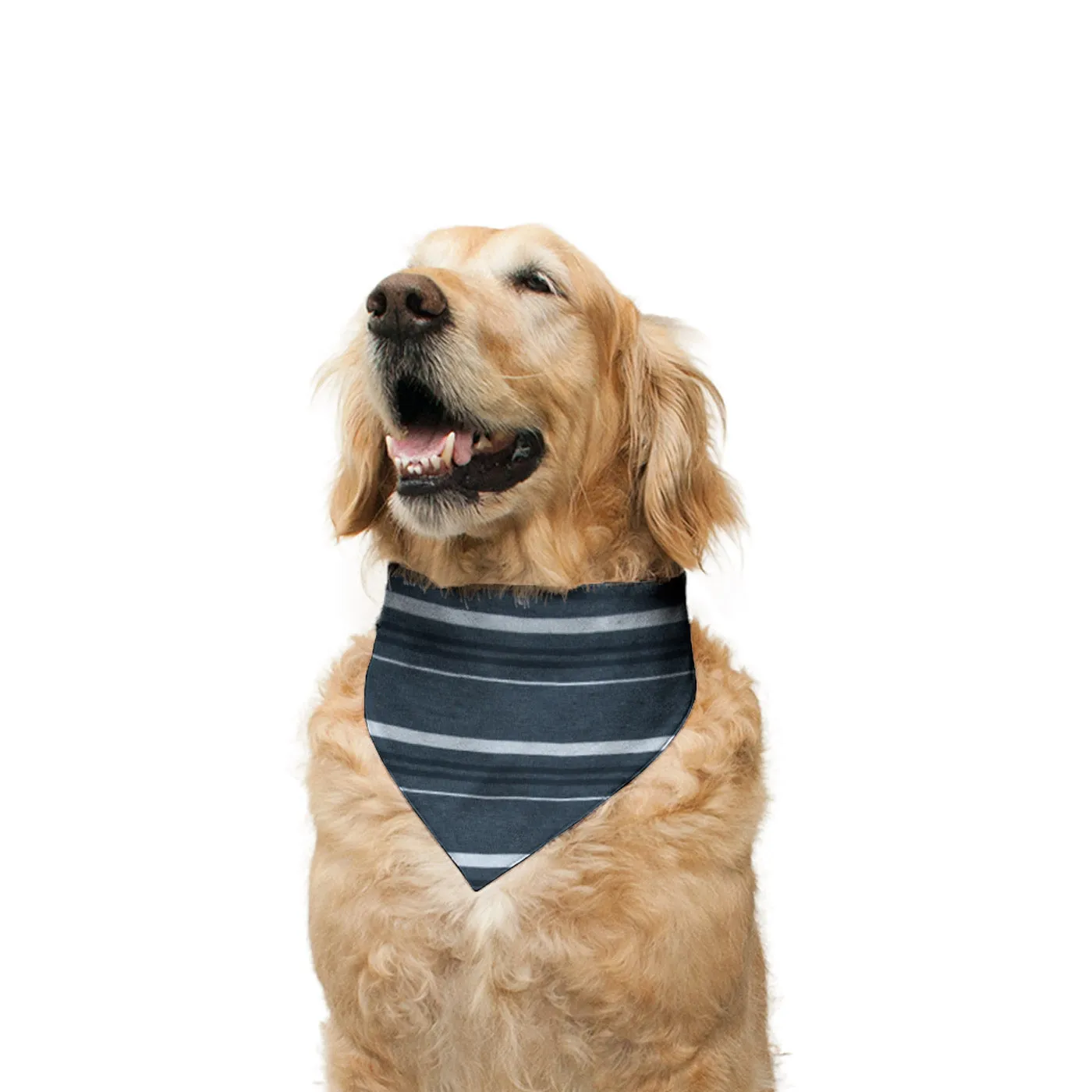 "Happy Birthday" Printed Reversible Bandana for Dogs