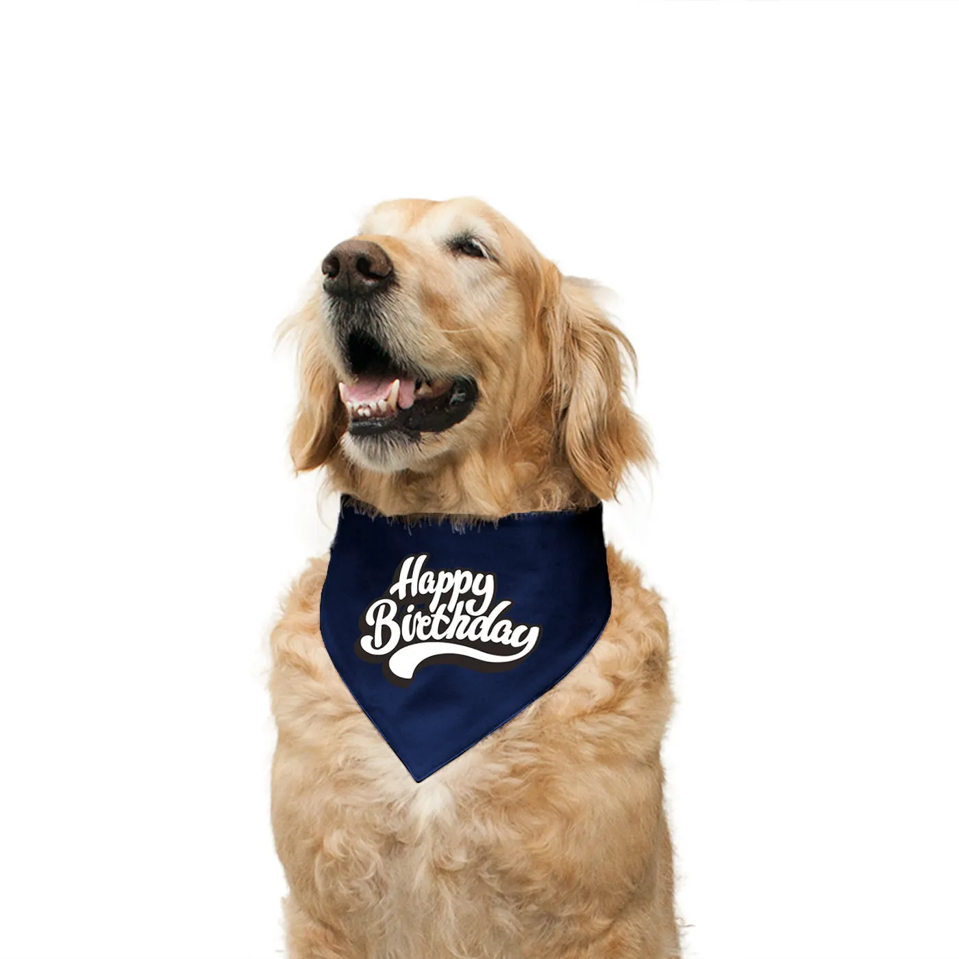 "Happy Birthday" Printed Reversible Bandana for Dogs