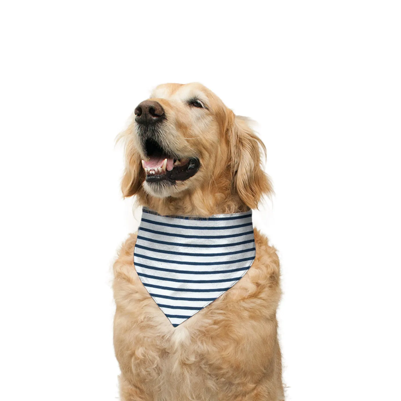"Happy Birthday" Printed Reversible Bandana for Dogs