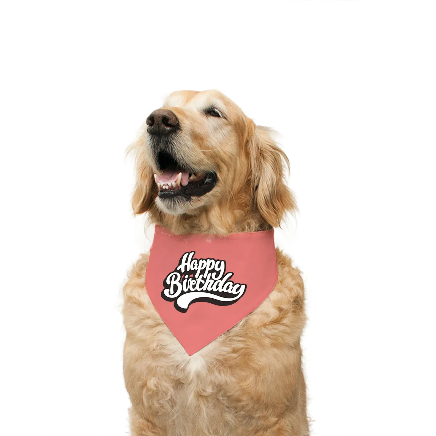 "Happy Birthday" Printed Reversible Bandana for Dogs