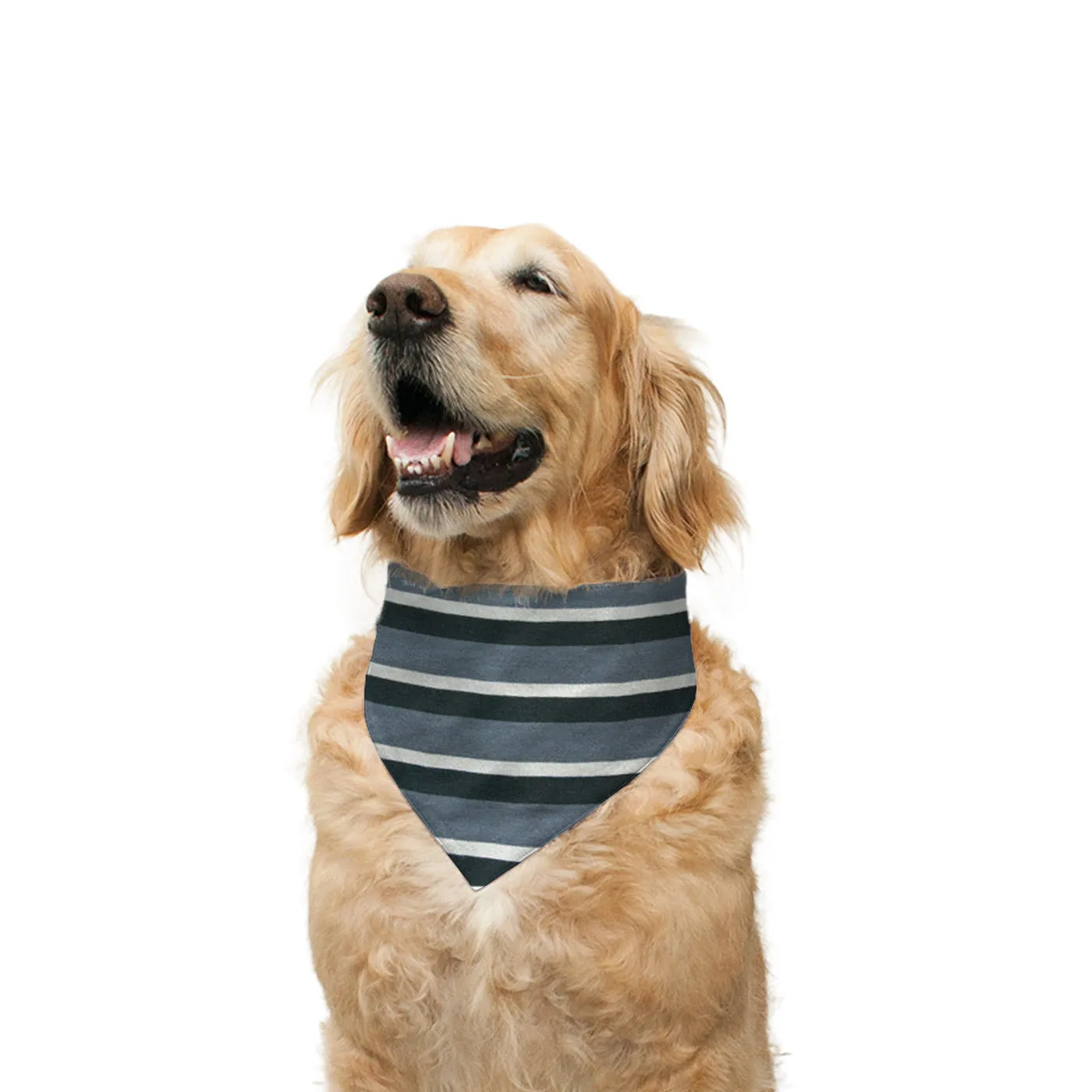 "Pool Party" Printed Reversible Bandana for Dogs