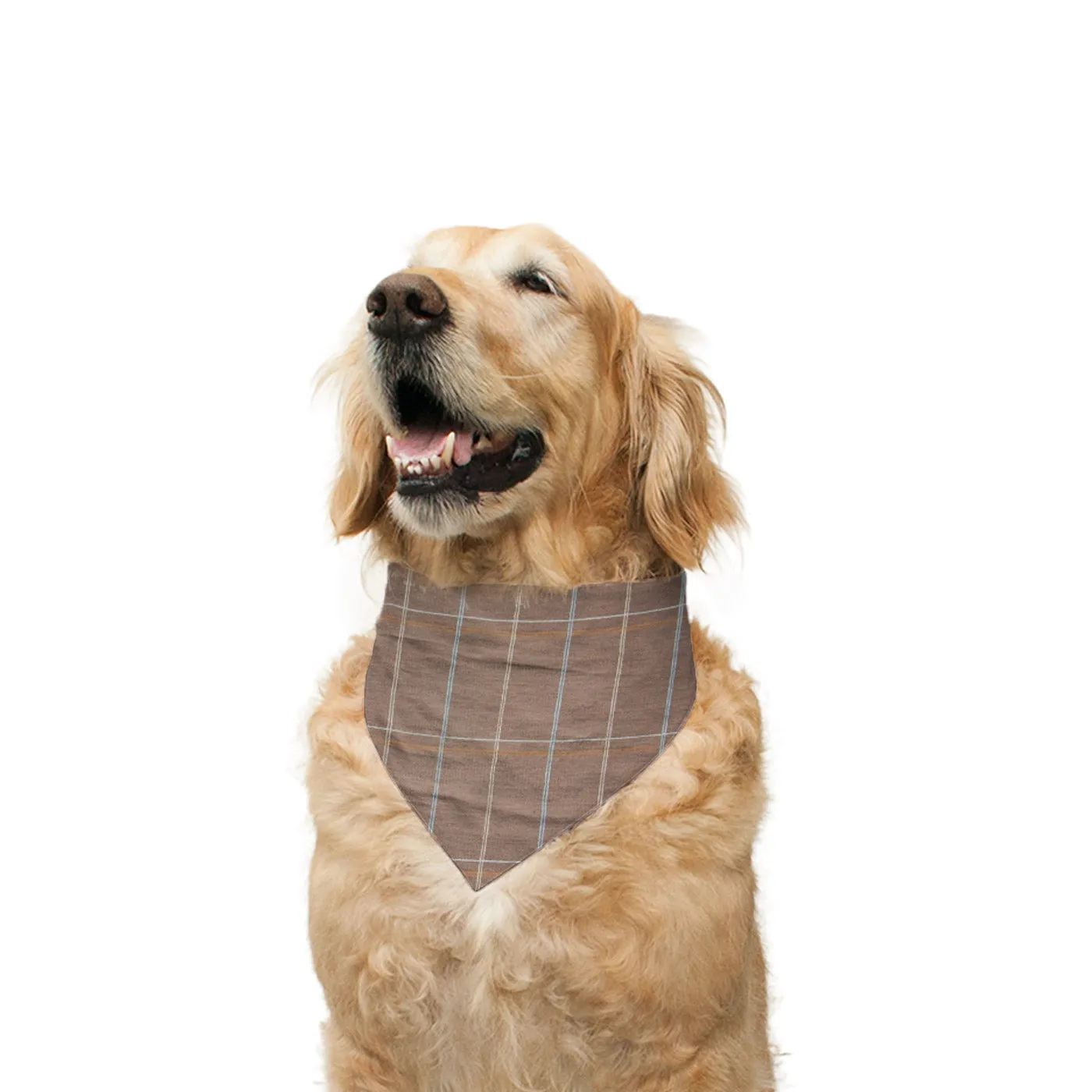 "Pool Party" Printed Reversible Bandana for Dogs