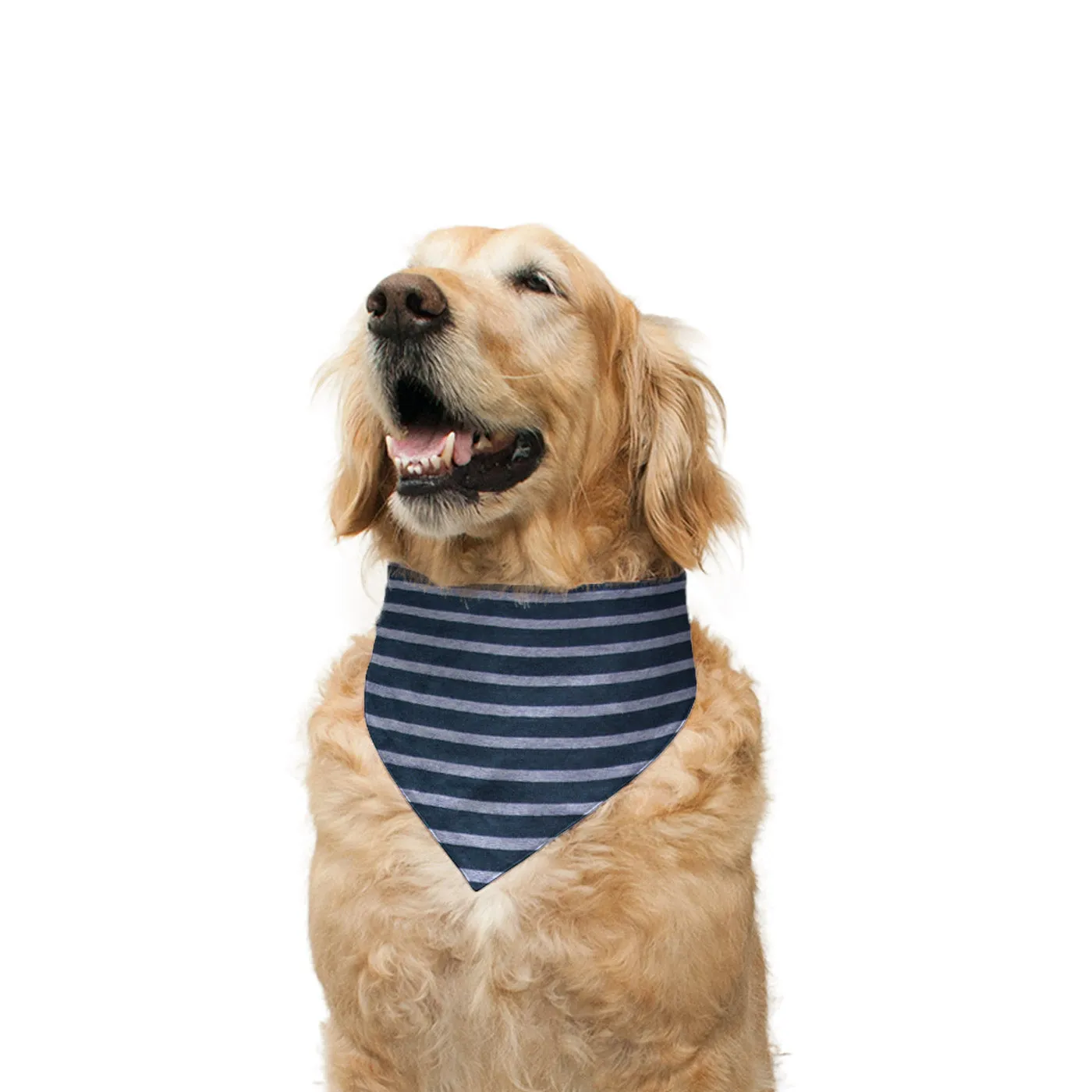 "Pool Party" Printed Reversible Bandana for Dogs