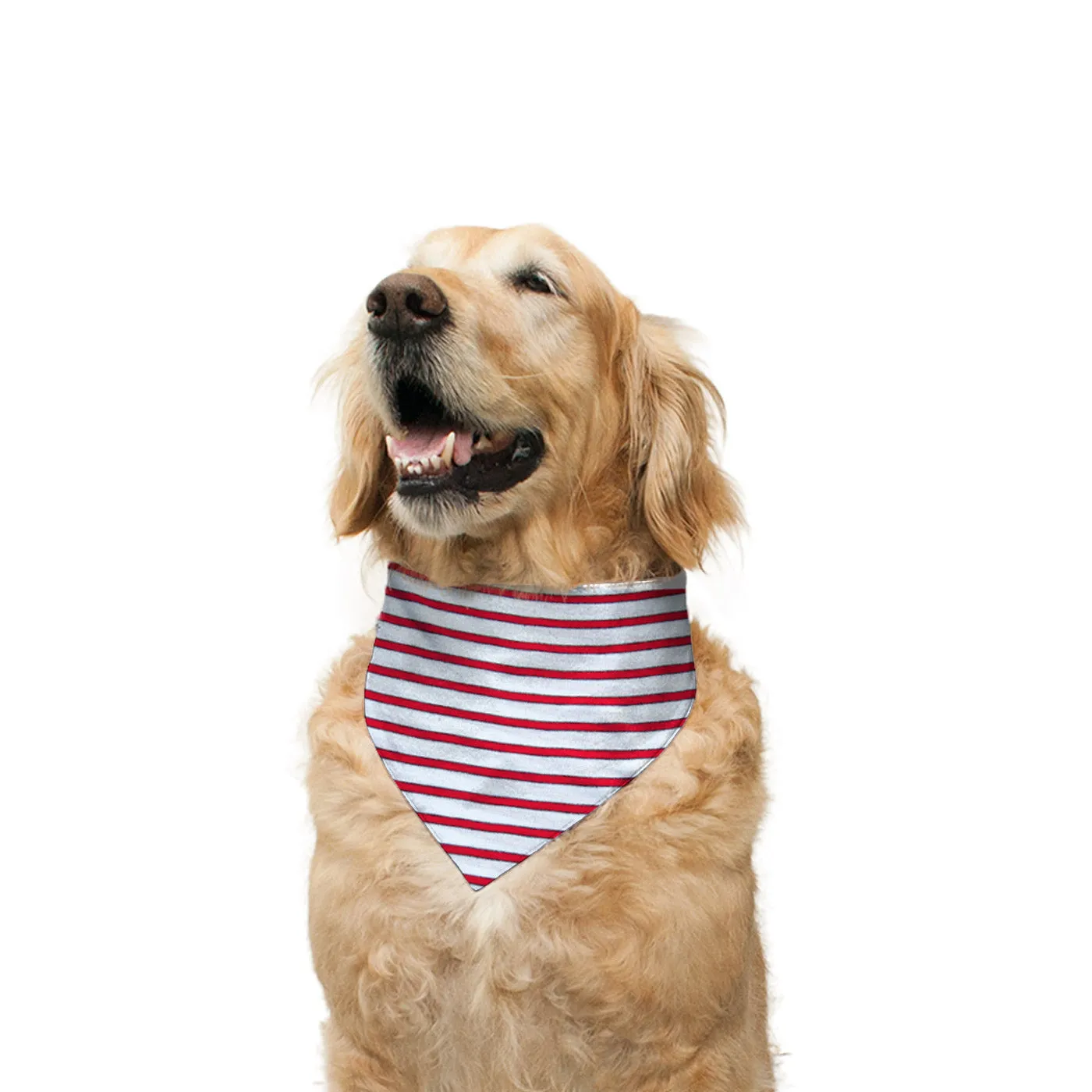 "Pool Party" Printed Reversible Bandana for Dogs