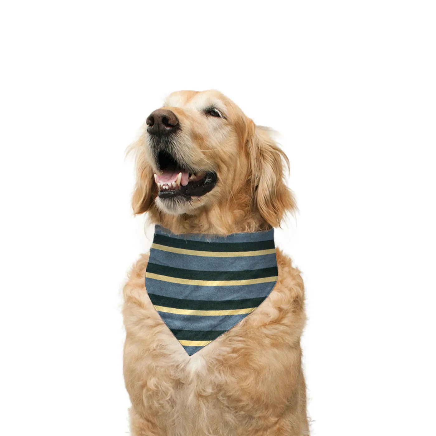 "Pool Party" Printed Reversible Bandana for Dogs