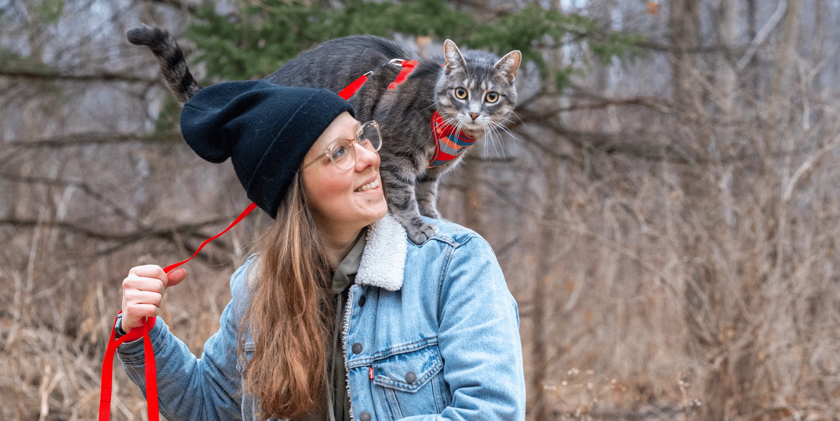 RC Pets Adventure Kitty Harness Maldives SALE