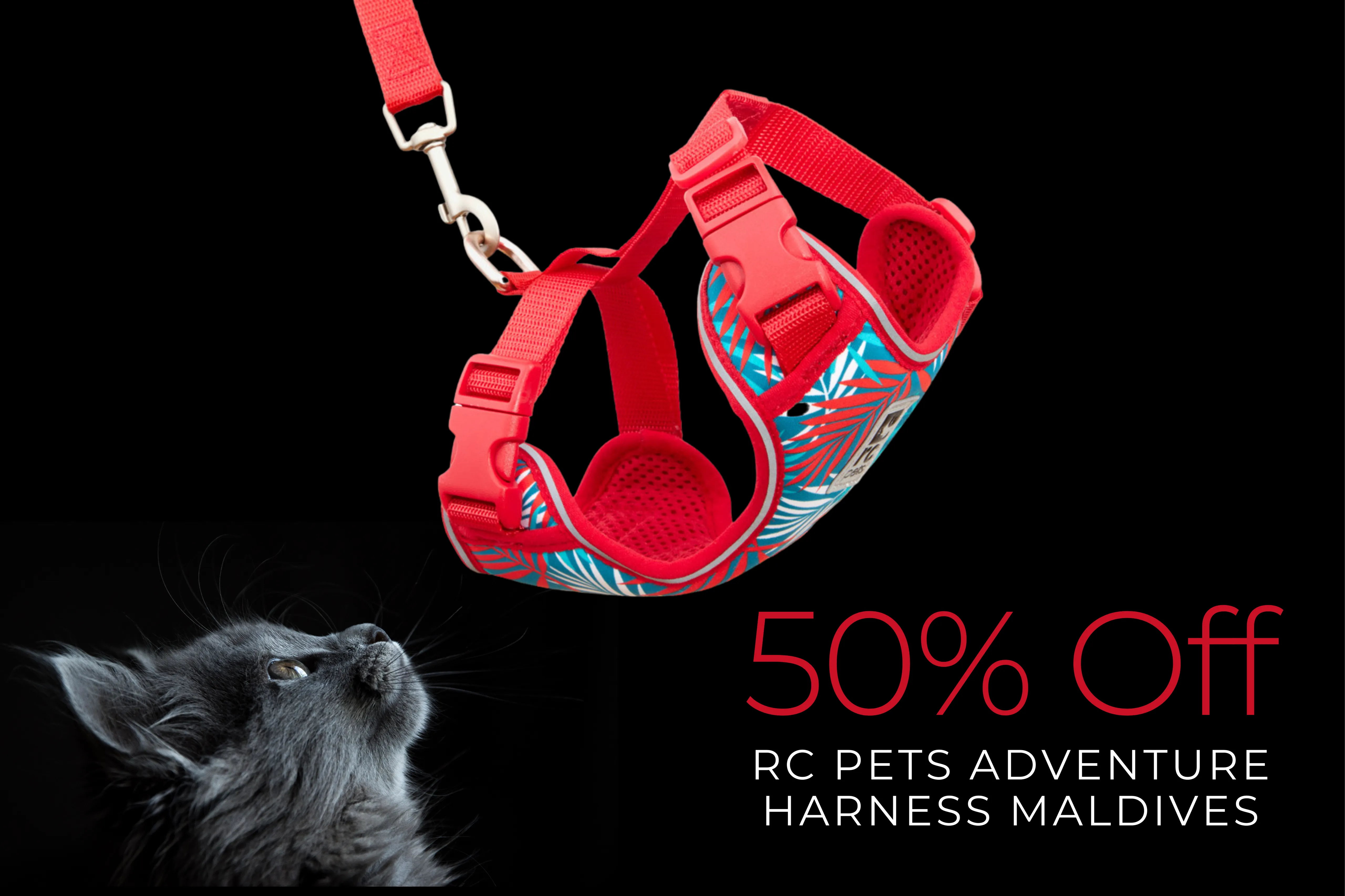 RC Pets Adventure Kitty Harness Maldives SALE
