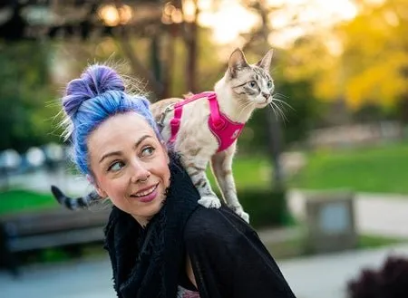 RC Pets Adventure Kitty Harness - Splatter