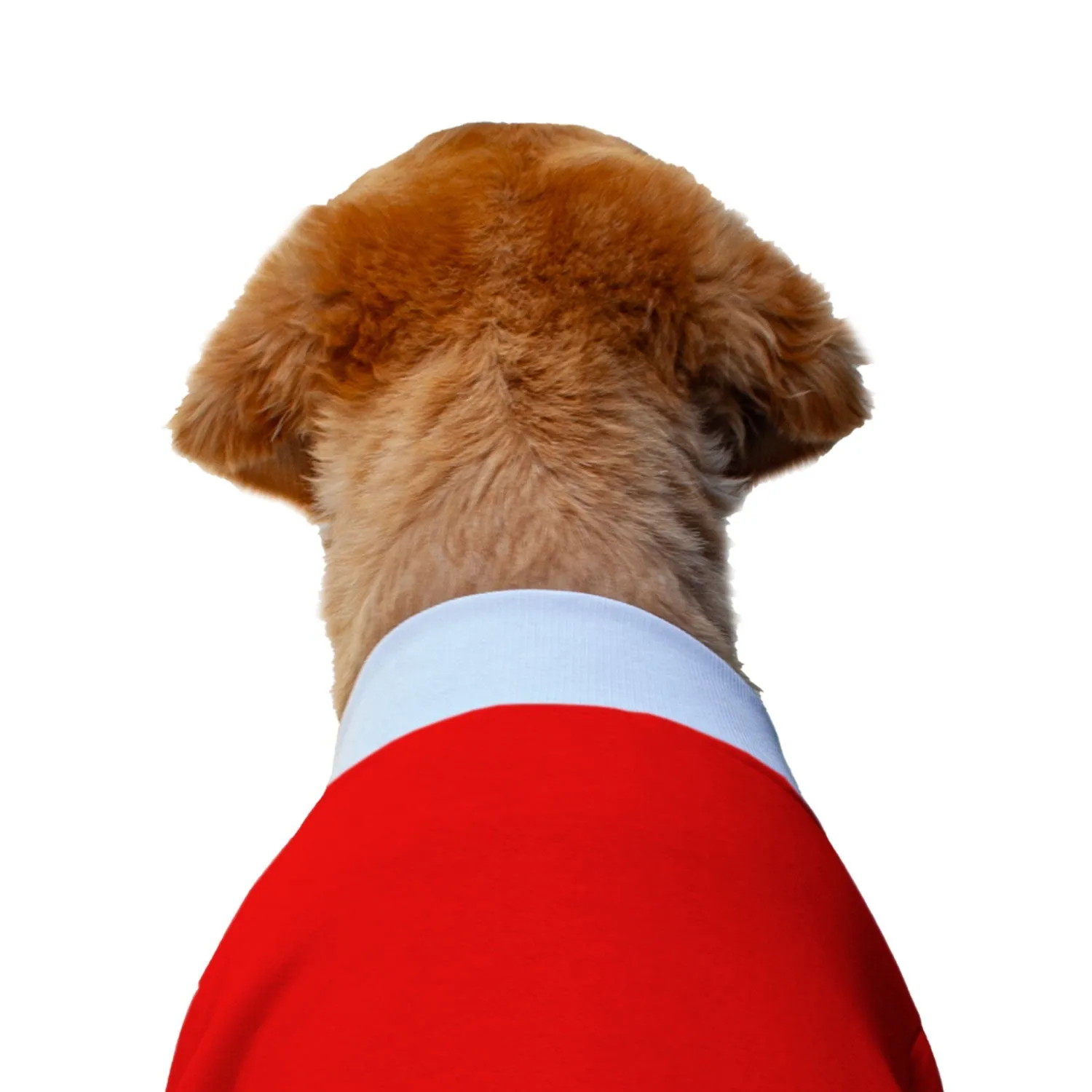 Ruse 'Basics' "Christmas Calories Don't Count" Printed Crew Neck Full Sleeve Sweatshirt For Dogs