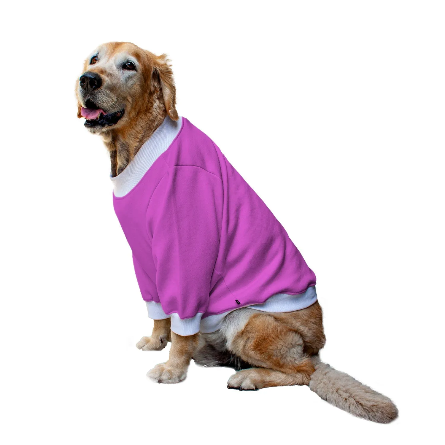 Ruse 'Basics' "Christmas Calories Don't Count" Printed Crew Neck Full Sleeve Sweatshirt For Dogs