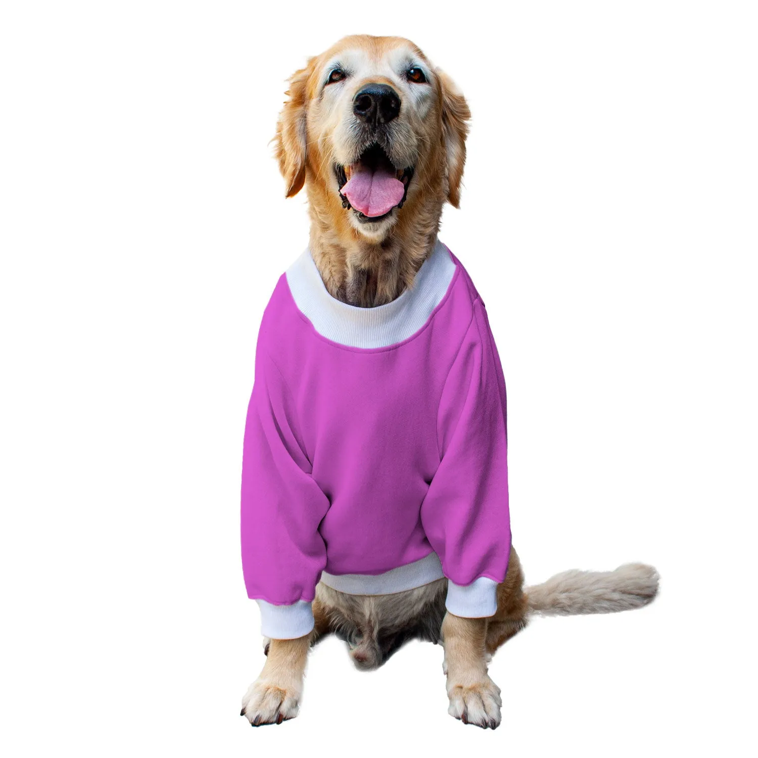 Ruse 'Basics' "Christmas Calories Don't Count" Printed Crew Neck Full Sleeve Sweatshirt For Dogs