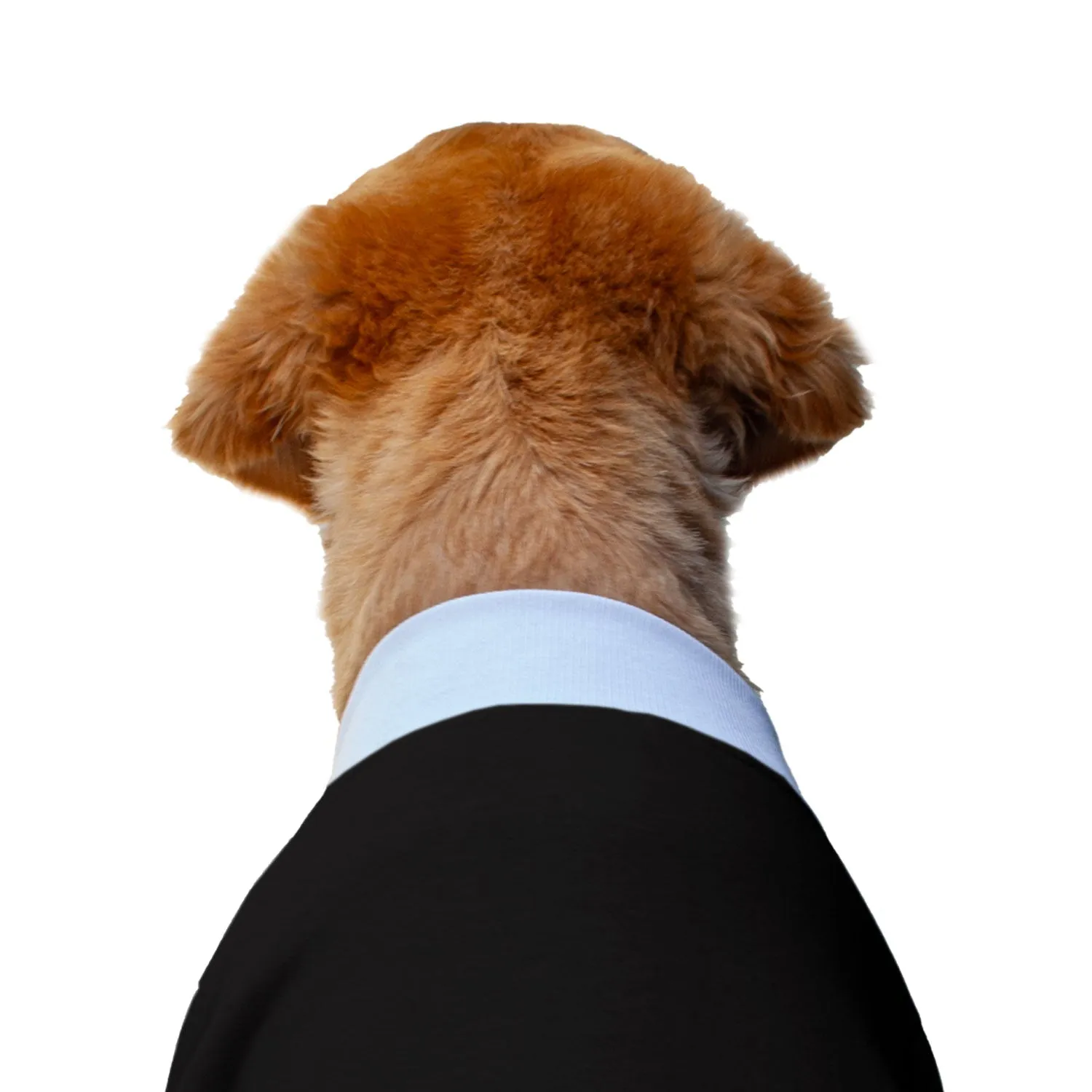 Ruse 'Basics' "Christmas Calories Don't Count" Printed Crew Neck Full Sleeve Sweatshirt For Dogs