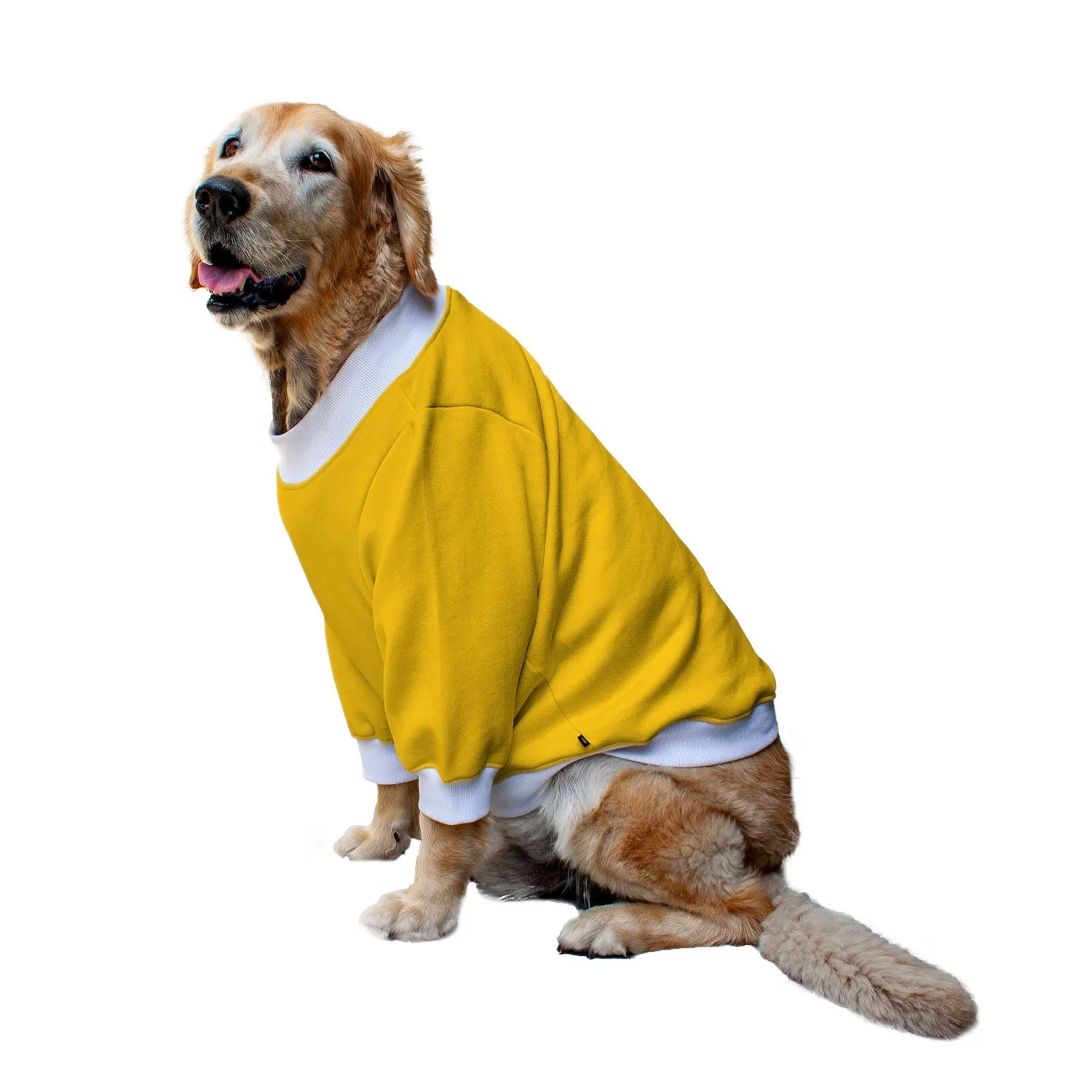 Ruse 'Basics' "Christmas Calories Don't Count" Printed Crew Neck Full Sleeve Sweatshirt For Dogs