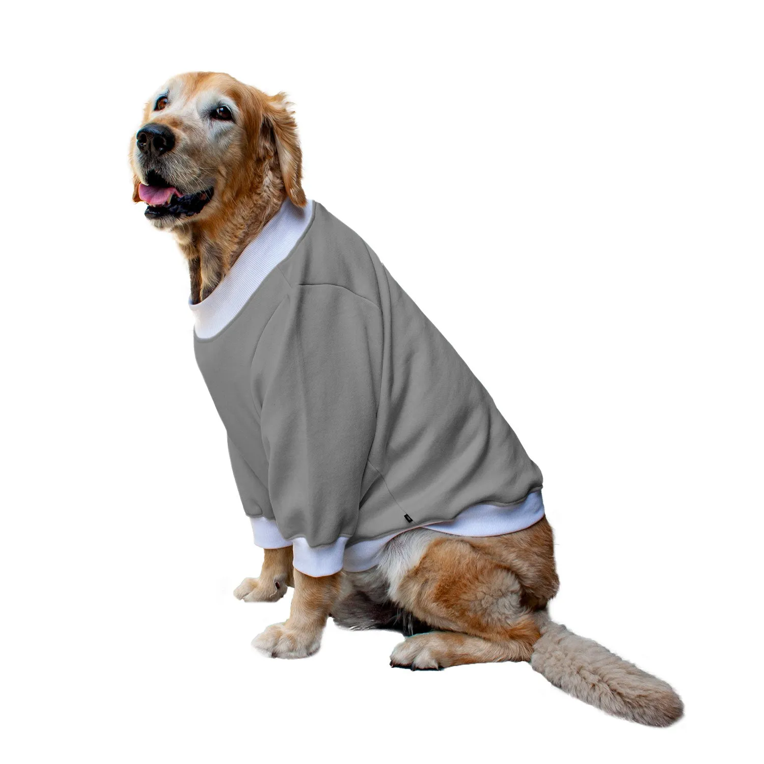 Ruse 'Basics' "Christmas Calories Don't Count" Printed Crew Neck Full Sleeve Sweatshirt For Dogs