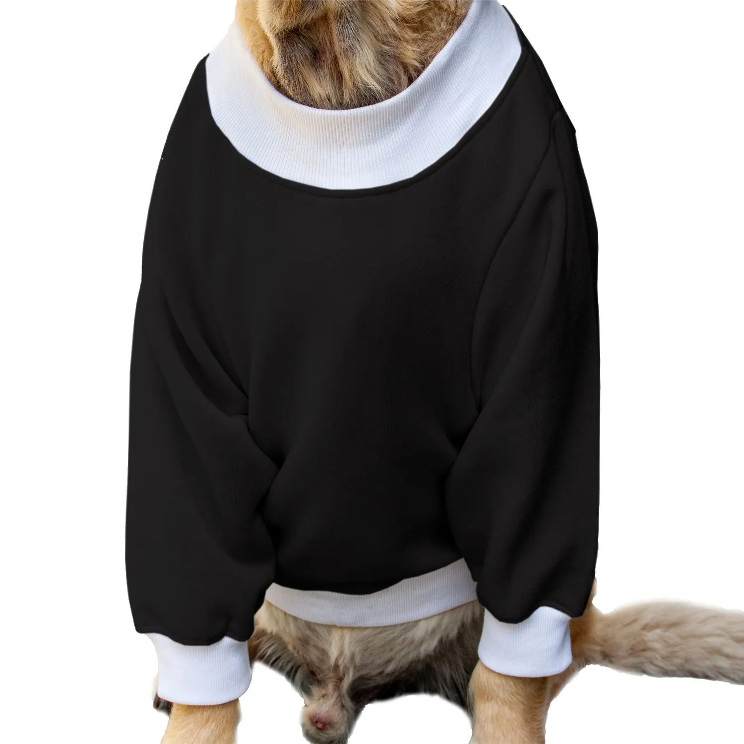 Ruse 'Basics' "Christmas Calories Don't Count" Printed Crew Neck Full Sleeve Sweatshirt For Dogs