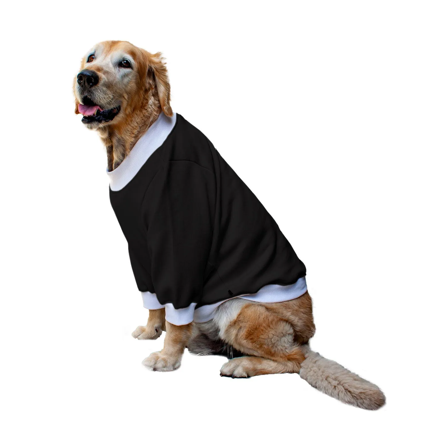 Ruse 'Basics' "Christmas Calories Don't Count" Printed Crew Neck Full Sleeve Sweatshirt For Dogs